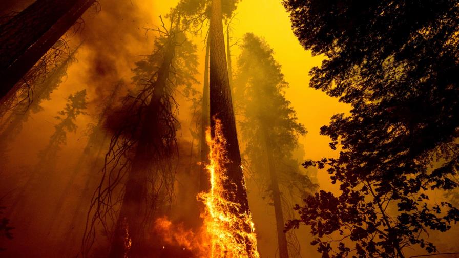 El cambio climático es la principal causa de los incendios en el oeste de EEUU, según estudio