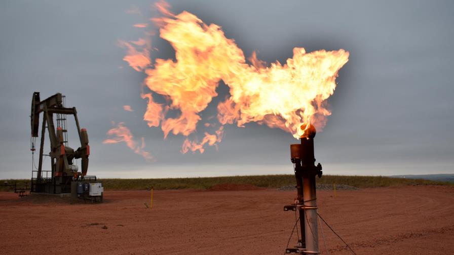 El petróleo de Texas sube un 0,3 % y cierra en 81,59 dólares el barril