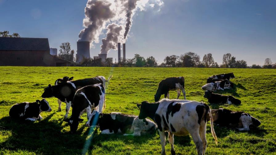 Las emisiones de CO2 se sitúan casi a los mismos niveles previos al covid-19 Las emisiones de CO2 se sitúan casi a los mismos niveles previos al covid-19