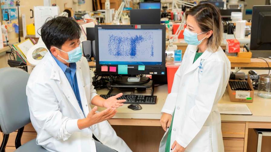 Londres insta al G20 a reconocer a los participantes en ensayos de vacunas