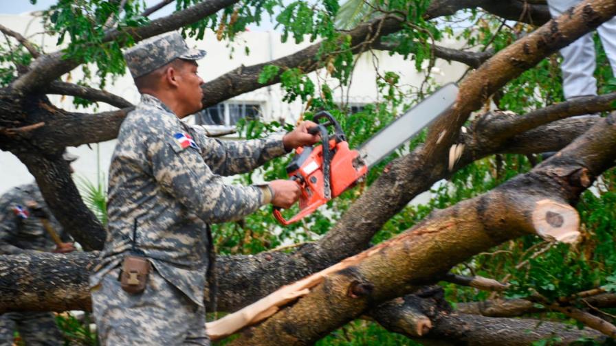 Alcaldía de Santo Domingo Este retira de las vías árboles derribados por vientos de Fred 