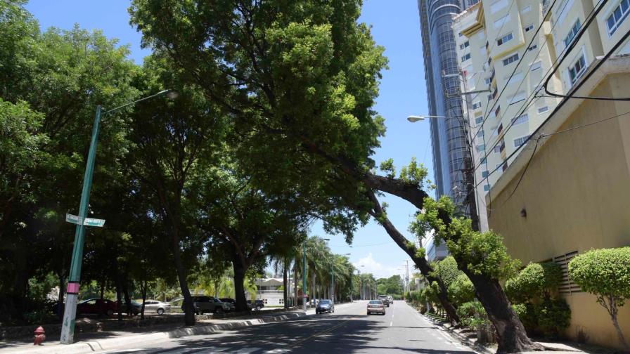 ¿Quitarle 10 metros lineales al Parque Mirador Sur? La propuesta genera controversia ¿Quitarle 10 metros lineales al Parque Mirador Sur? La propuesta genera controversia