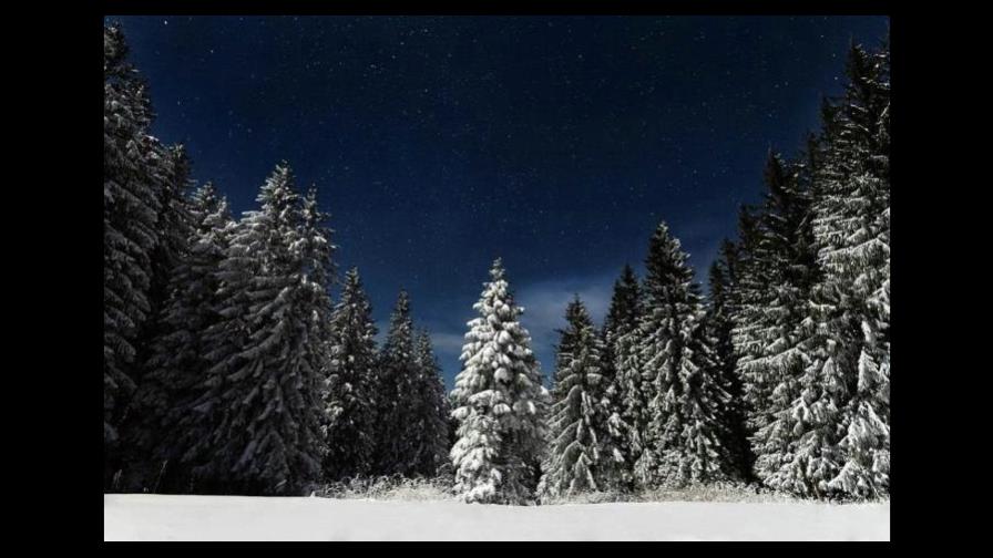 Ladrones roban árboles de Navidad en granja de EEUU Ladrones roban árboles de Navidad en granja de EEUU