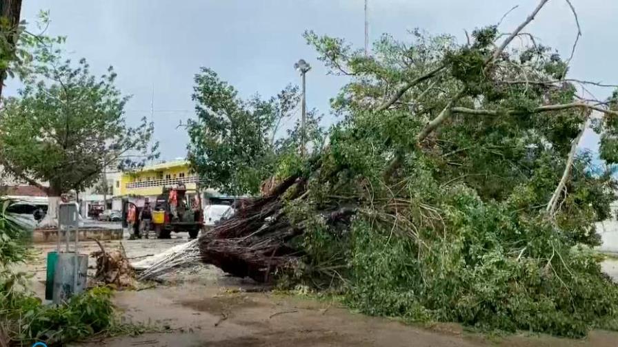 Grace deja cortes de energía y caída de árboles a su paso por Islas Caimán