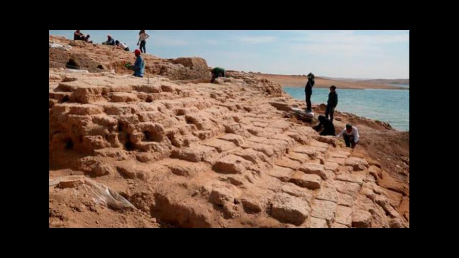 Arqueólogos hallan en Irak prensas de vino de hace más de 2,700 años