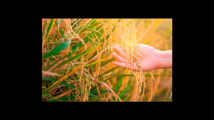 Piden que la revisión al DR-Cafta se incluya en la agenda del Gobierno