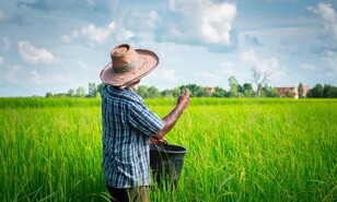 Nagua: la productividad empieza en el agua