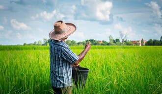 Nagua: la productividad empieza en el agua