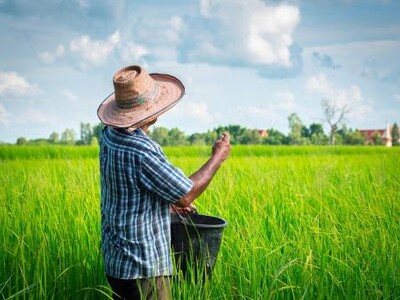 Nagua: la productividad comienza en el agua