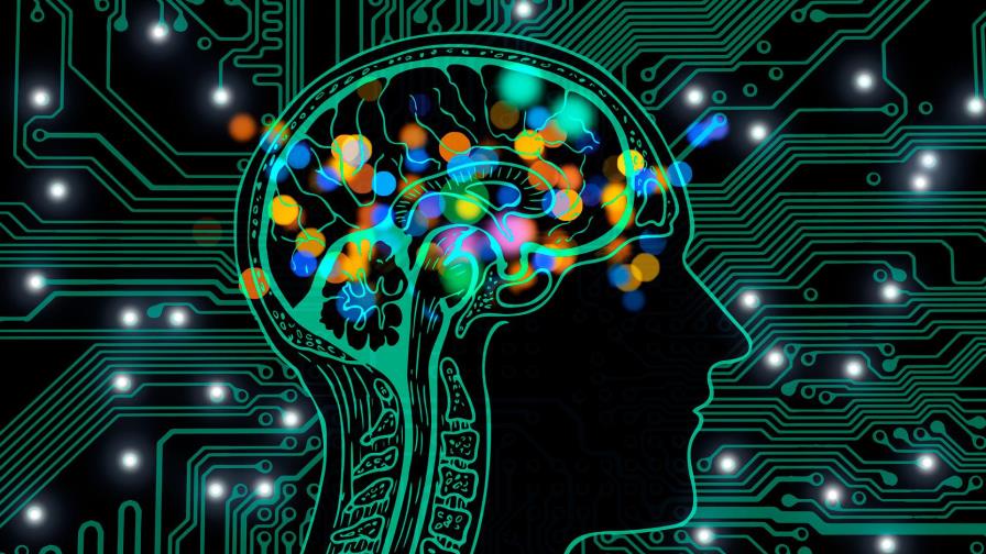 Estrategias del cerebro ante emociones desagradables: observar o huir