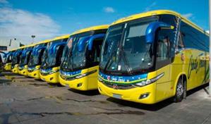 Caribe Tours desinfecta más de 150 autobuses para evitar propagación del COVID-19