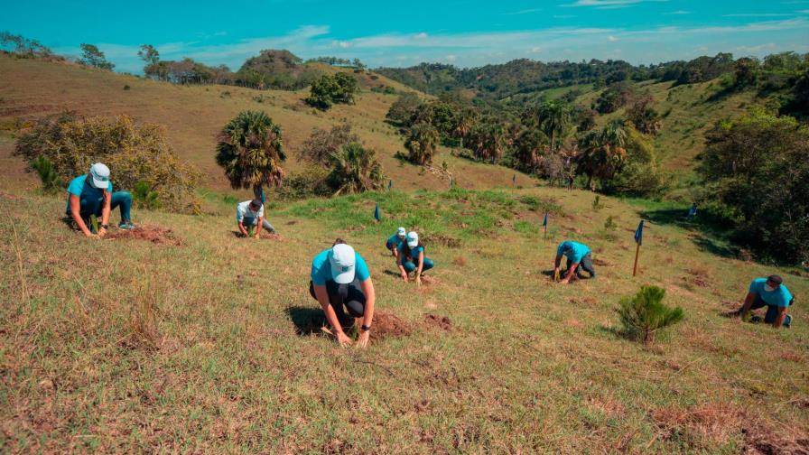 Empleados de Banco Popular siembran 22,400 árboles en Plan Sierra Empleados de Banco Popular siembran 22,400 árboles en Plan Sierra
