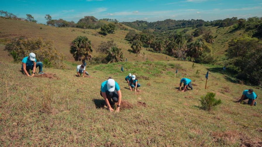 Empleados de Banco Popular siembran árboles en Plan Sierra