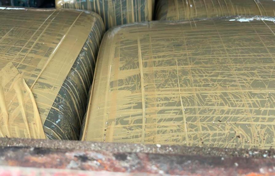 Ejército incauta 234 paquetes de presunta marihuana en Azua 