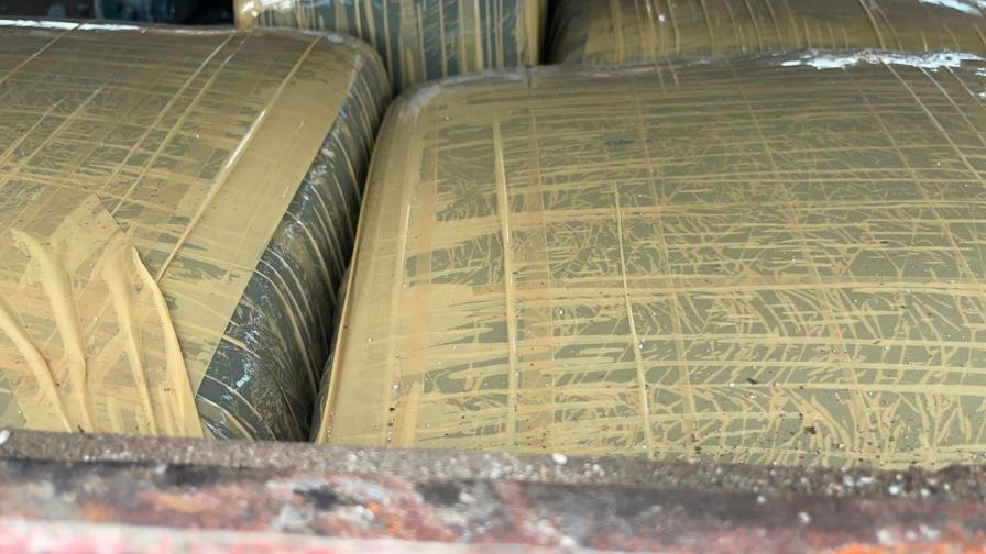 Ejército incauta 234 paquetes de presunta marihuana en Azua 