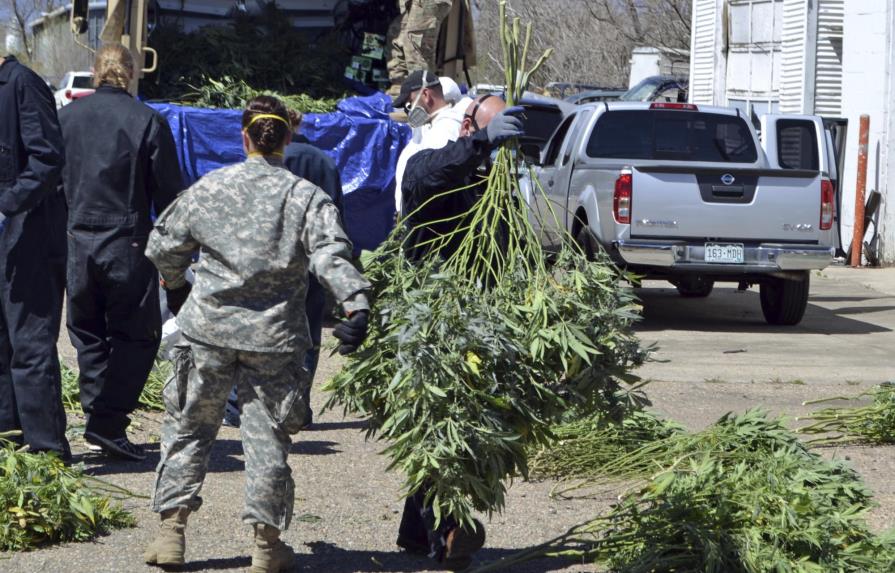 Oregon declara emergencia ante granjas ilegales de cannabis