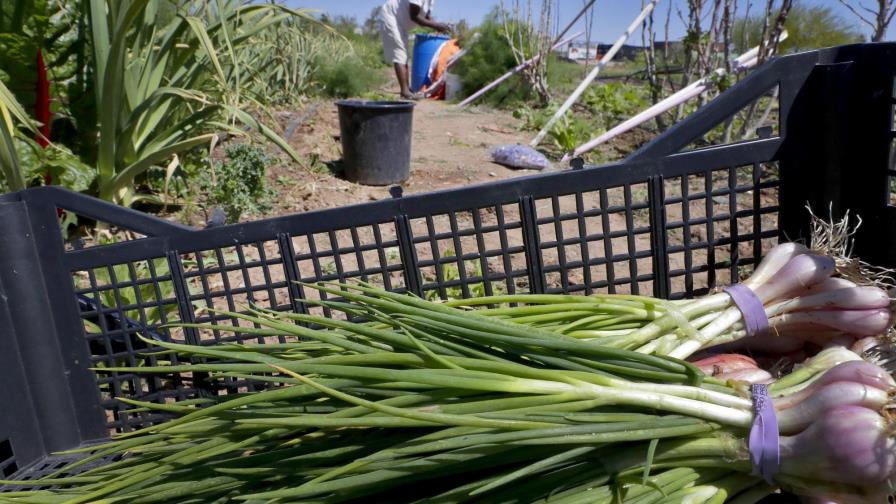 Temen que censo no cuente a refugiados en EEUU Temen que censo no cuente a refugiados en EEUU