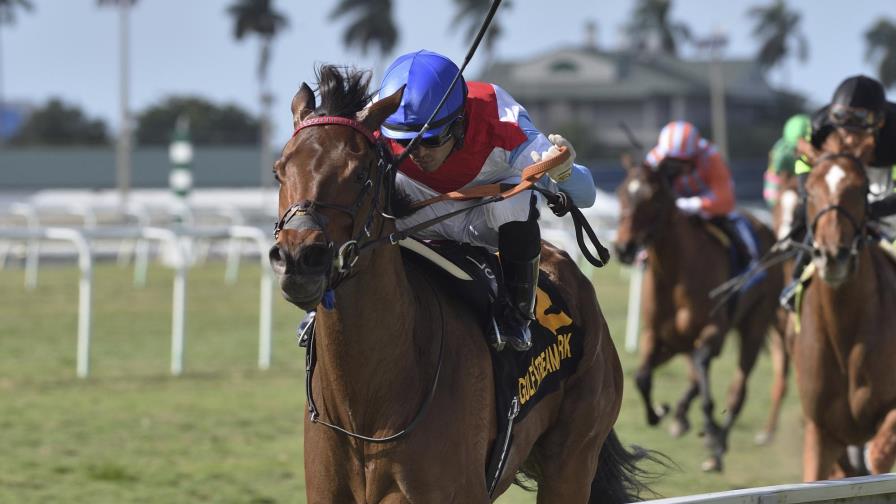 El Hipismo consigue mayor tiempo en TV en medio de pandemia
