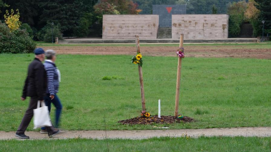 Derechistas en Alemania derriban árbol que honraba a víctima