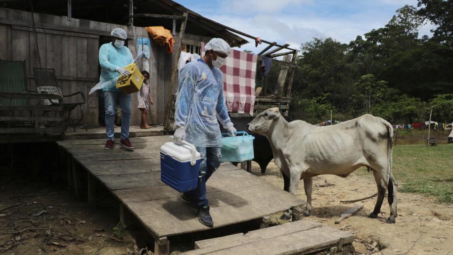 Brasil: gobernadores buscan abastecerse de vacunas