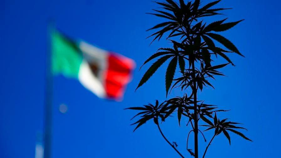 Diputados mexicanos avalan y regresan al Senado ley para consumo de marihuana
