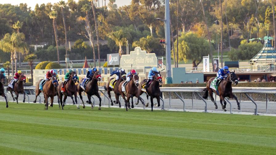 Sacrifican a 1er caballo en temporada en pista de Arcadia