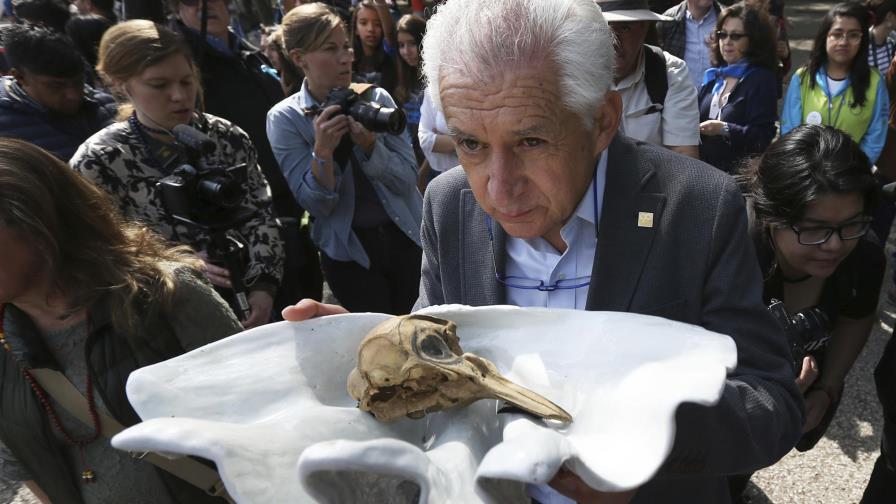 México sopesa propuestas que perjudicarían a vaquita marina