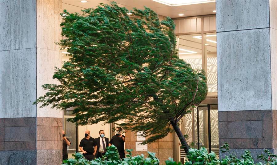 Trabajadores de oficina observan cómo los árboles se doblan con el viento en el bajo Manhattan mientras la tormenta tropical Isaías pasa a través de Nueva York, el 4 de agosto de 2020.