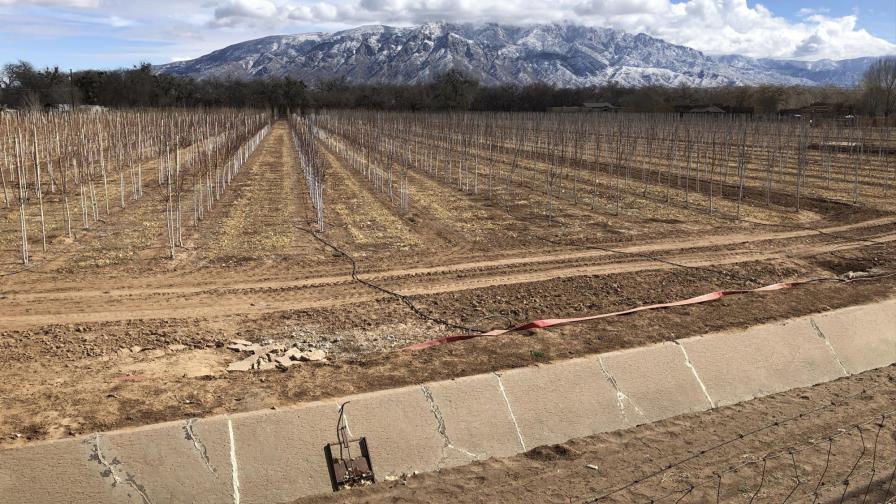 Pronóstico para la primavera: se agrava la sequía en EEUU