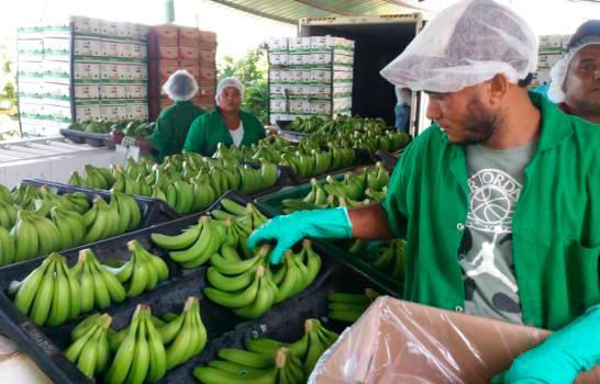Productores dominicanos piden a la UE cambios en las normas sobre orgánicos