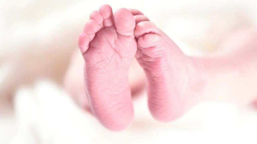 Recién nacida habría sido lanzada desde azotea de una casa por su madre en México Recién nacida habría sido lanzada desde azotea de una casa por su madre en México