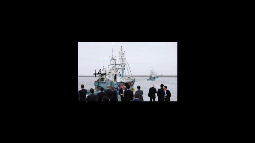 Barcos de Japón zarpan a cazar ballenas por primera vez en 31 años