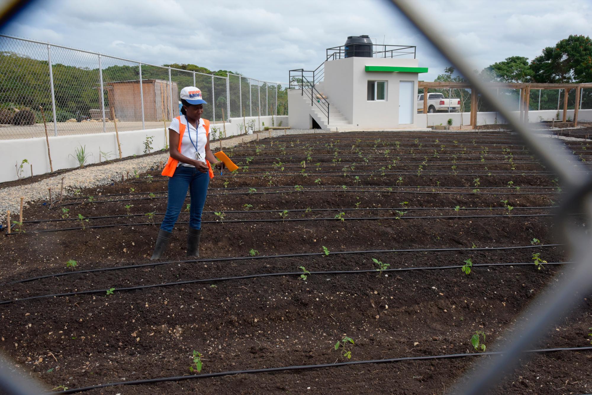El huerto para la terapia (José Justo Féliz)