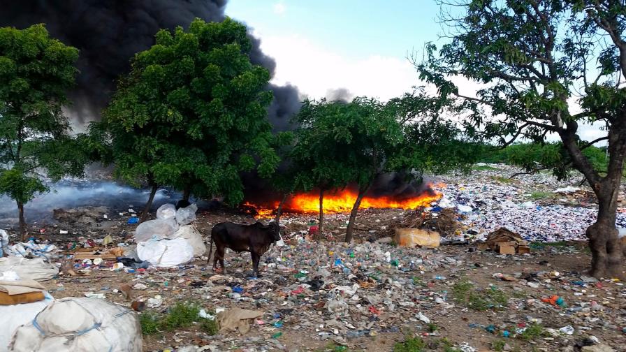 Proyecto para producir energía con la basura de SPM resuelve grave amenaza a la salud y el medioambiente