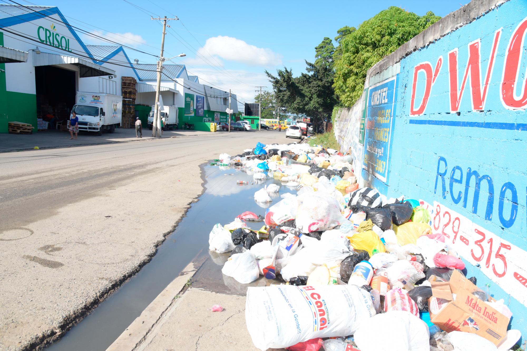 Basura en Lotes y Servicios, Sabana Perdida