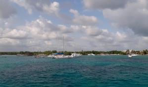 Sargazo no se presenta este año en principales playas de Bayahíbe