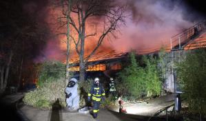 Investigan a tres mujeres por incendio en zoológico de Alemania