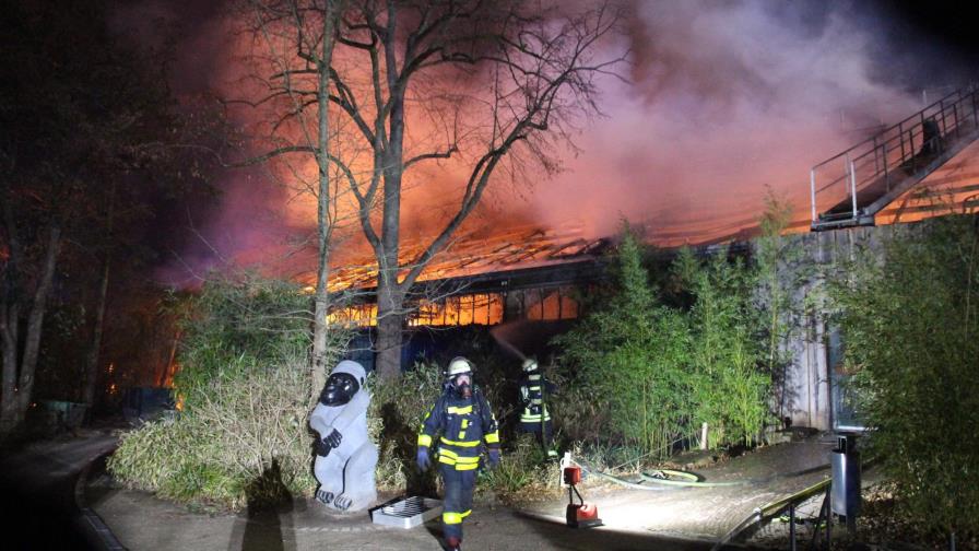 Investigan a tres mujeres por incendio en zoológico de Alemania