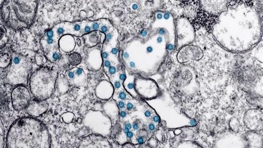 Logran un material que elimina el virus y podría utilizarse en mascarillas