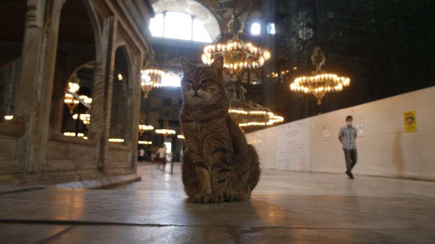 Turquía rechaza condena de la UE por mezquita Hagia Sophia