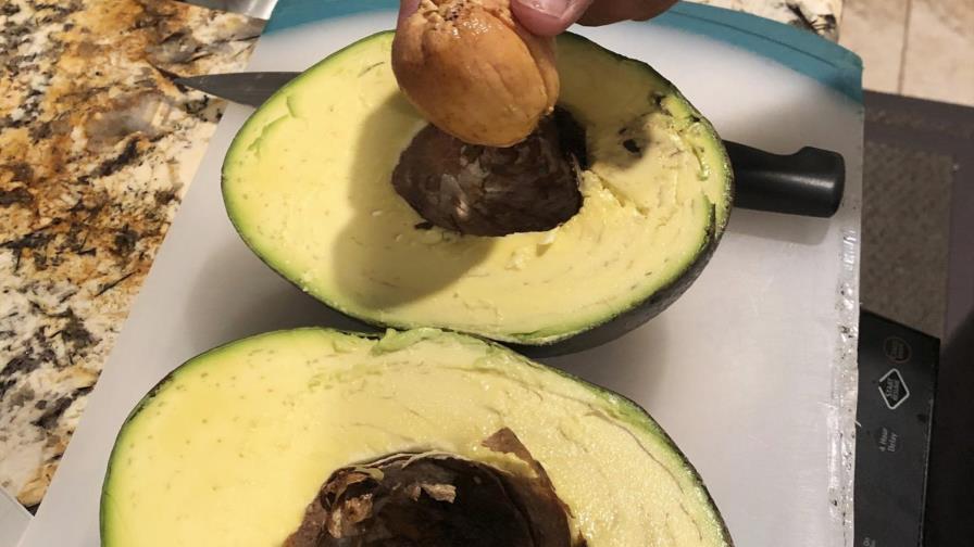 Familia hawaiana tiene récord de aguacate más pesado