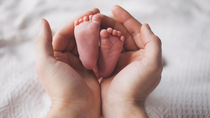 A las siamesas nacidas en maternidad La Altagracia “pronto” se les dará el alta médica A las siamesas nacidas en maternidad La Altagracia “pronto” se les dará el alta médica