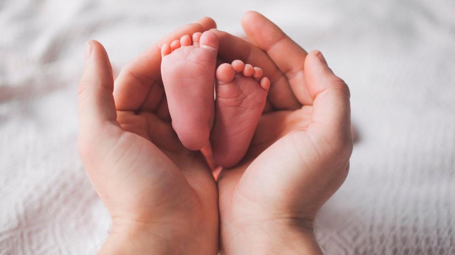 Una bacteria intestinal entrena el sistema inmunitario de los bebés Una bacteria intestinal entrena el sistema inmunitario de los bebés
