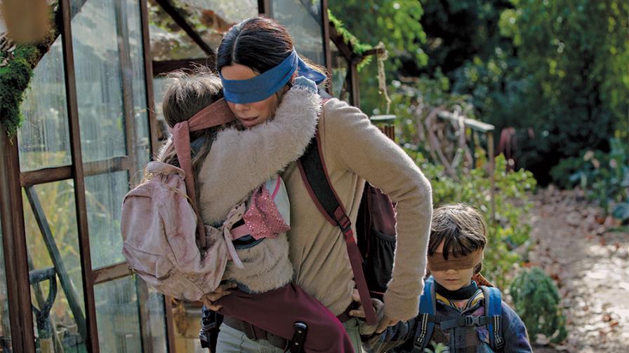 Adolescente choca haciendo el “Bird Box Challenge”