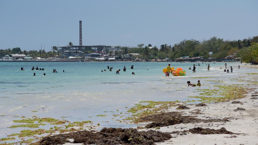 Boca Chica, sucia y con sargazo antes del asueto