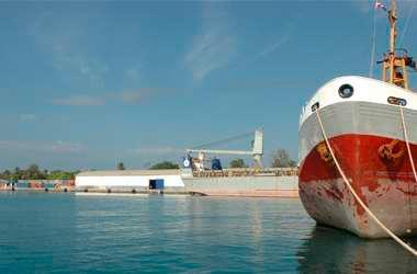 Mega Puerto de Boca Chica despacha casi dos millones de contenedores desde el 2018 