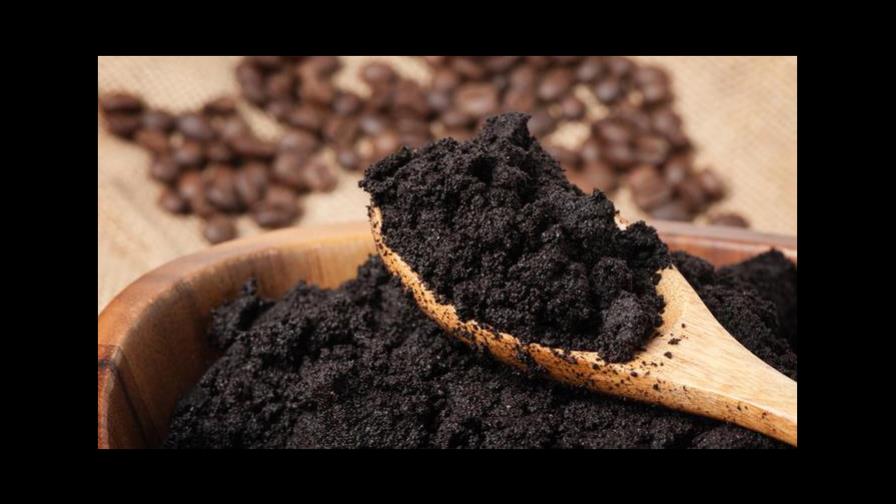 Así puedes usar las sobras del café para cuidar tus plantas Así puedes usar las sobras del café para cuidar tus plantas