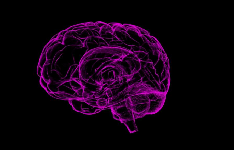 La ciencia abre una nueva vía contra los tumores cerebrales más agresivos