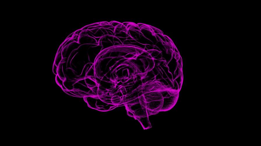 La ciencia abre una nueva vía contra los tumores cerebrales más agresivos
