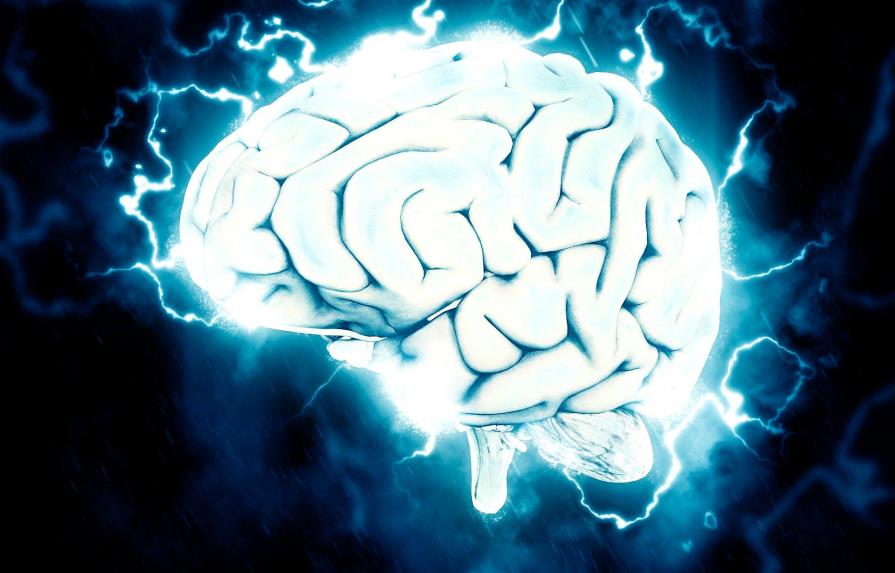 Descifrar el cerebro, el “reto científico” que implica a más 500 laboratorios